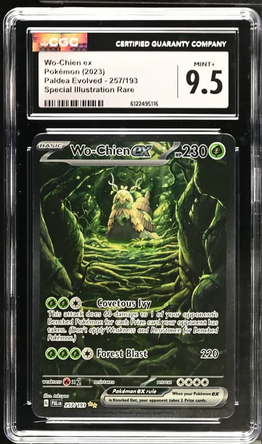 Wo-Chien ex — Pa 257